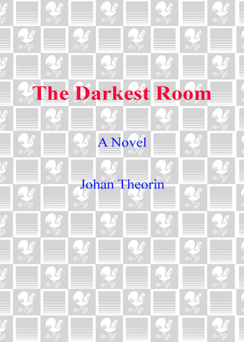 Cover image for book The Darkest Room