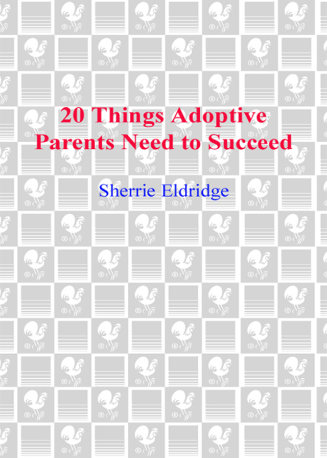 20 Things Adoptive Parents Need to Succeed