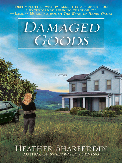 Cover image for book Damaged Goods