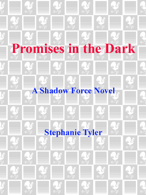 Cover image for book Promises in the Dark
