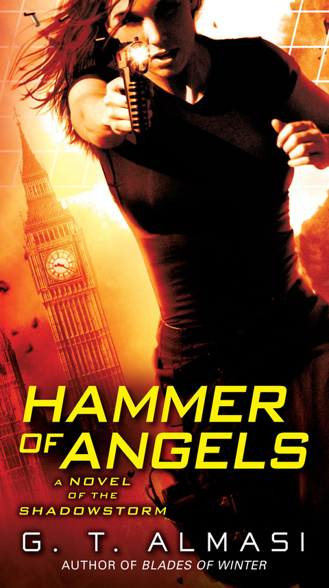 Cover image for book Hammer of Angels