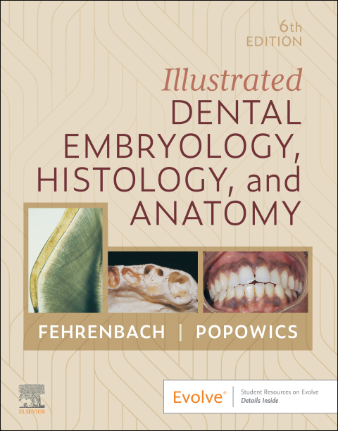 Cover image for book Illustrated Dental Embryology, Histology, and Anatomy