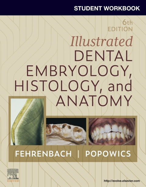 Cover image for book Student Workbook for Illustrated Dental Embryology, Histology and Anatomy