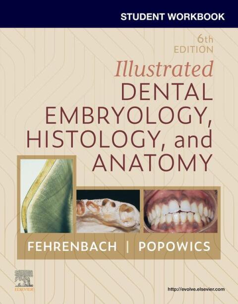 Cover image for book Student Workbook for Illustrated Dental Embryology, Histology and Anatomy