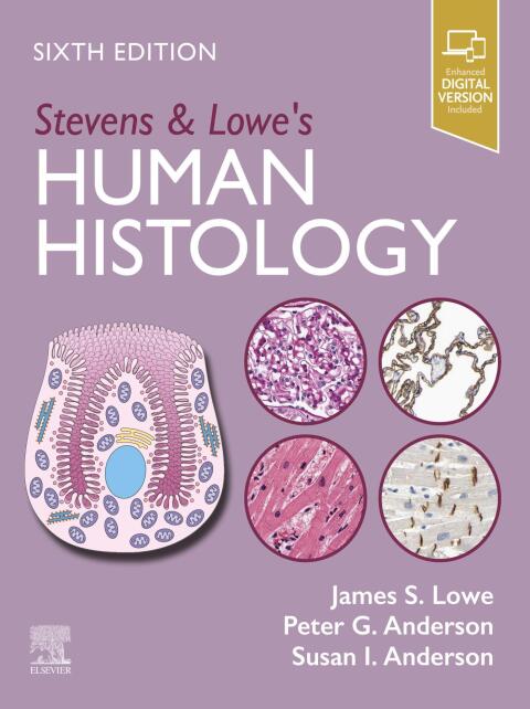 Stevens \u0026 Lowe's Human Histology 
