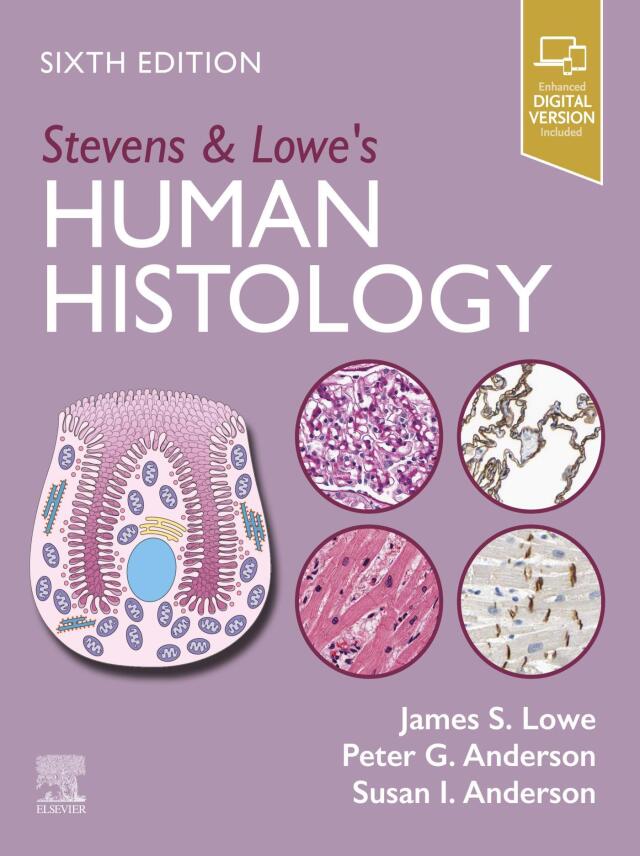Stevens & Lowe's Human Histology