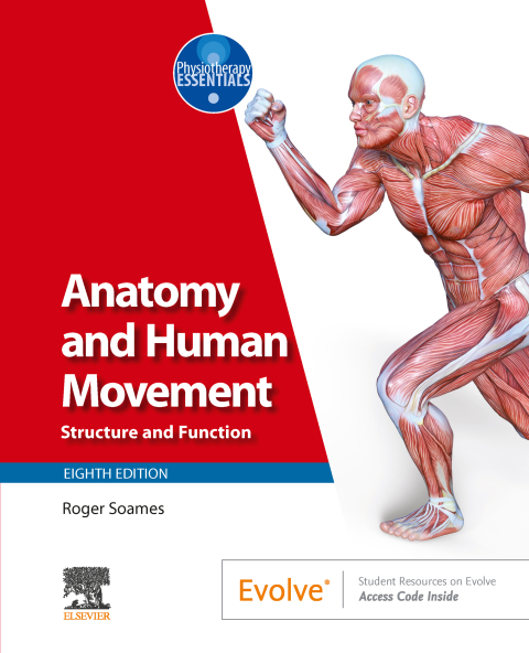 Cover image for book Anatomy and Human Movement