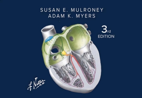 Cover image for book Netter's Physiology Flash Cards