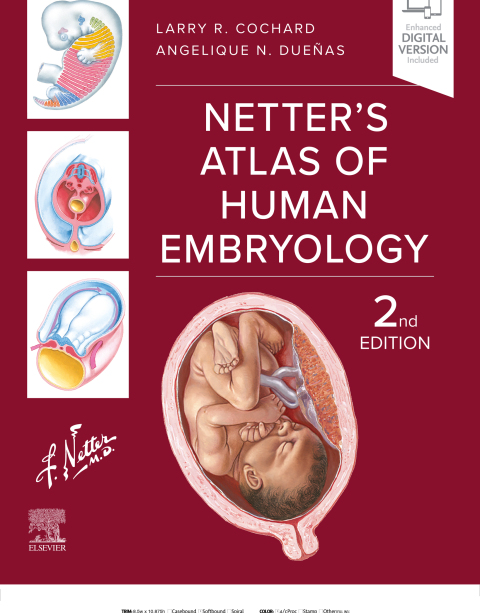 Cover image for book Netter's Atlas of Human Embryology