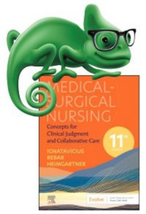 Cover image for book Elsevier Adaptive Quizzing for Medical-Surgical Nursing