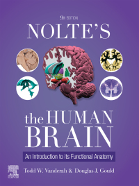 Nolte's The Human Brain
