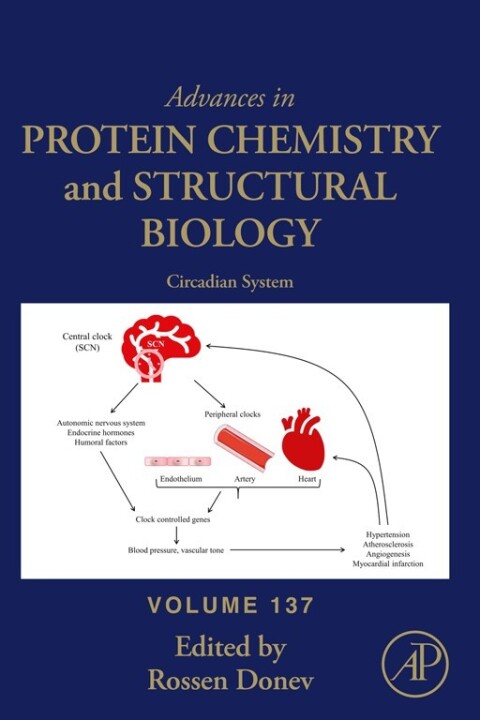 Cover image for book Circadian System
