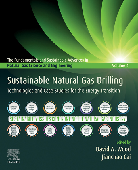 Cover image for book Sustainable Natural Gas Drilling