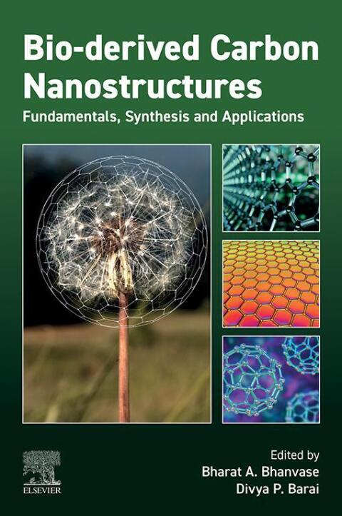 Cover image for book Bio-derived Carbon Nanostructures