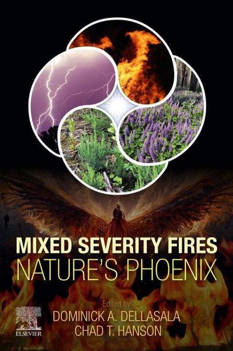Mixed Severity Fires 