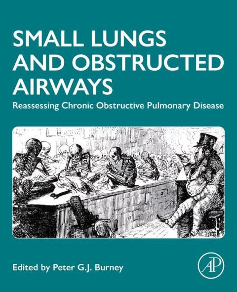 Cover image for book Small Lungs and Obstructed Airways