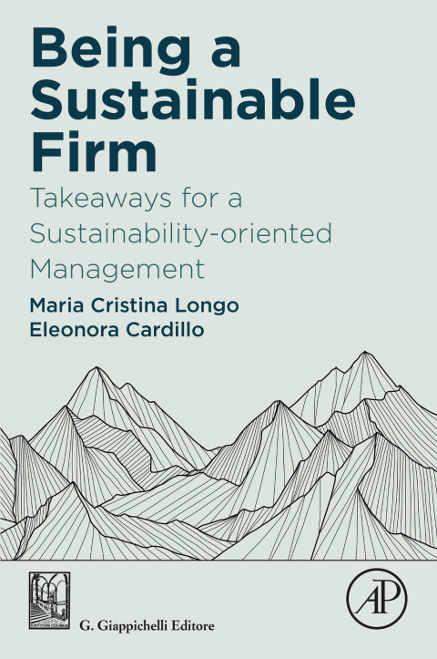 Cover image for book Being a Sustainable Firm