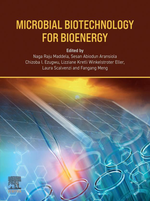 Cover image for book Microbial Biotechnology for Bioenergy