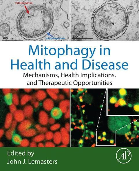 Cover image for book Mitophagy in Health and Disease