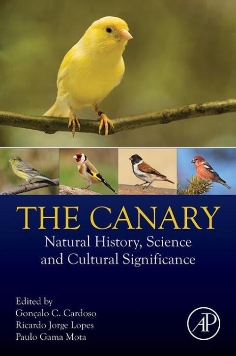 Cover image for book The Canary