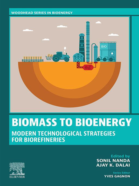 Cover image for book Biomass to Bioenergy