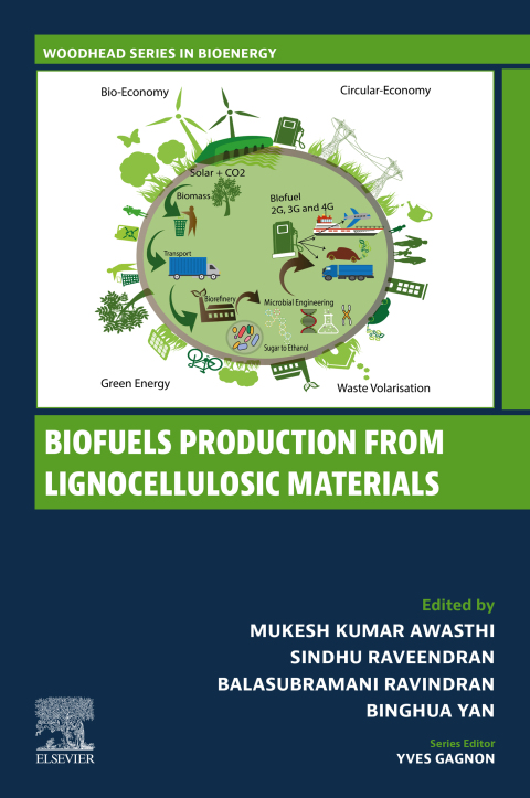 Cover image for book Biofuels Production from Lignocellulosic Materials