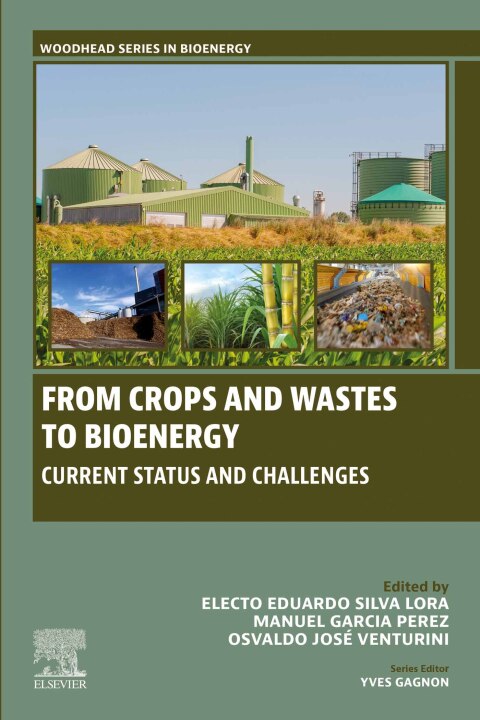 Cover image for book From Crops and Wastes to Bioenergy
