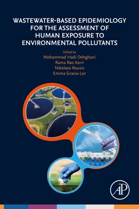 Wastewater-Based Epidemiology for the Assessment of Human Exposure to Environmental Pollutants 
