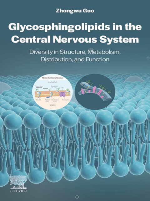 Cover image for book Glycosphingolipids in the Central Nervous System