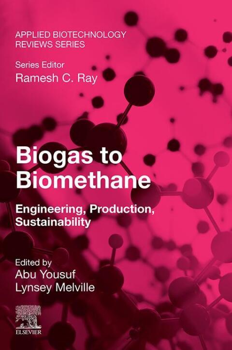 Cover image for book Biogas to Biomethane