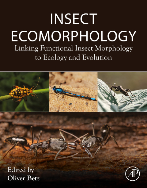 Cover image for book Insect Ecomorphology