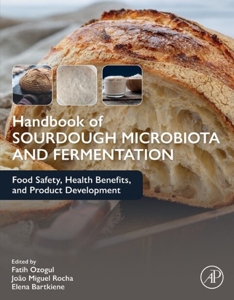 Cover image for book Handbook of Sourdough Microbiota and Fermentation