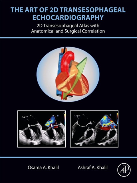Cover image for book The Art of 2D Transesophageal Echocardiography