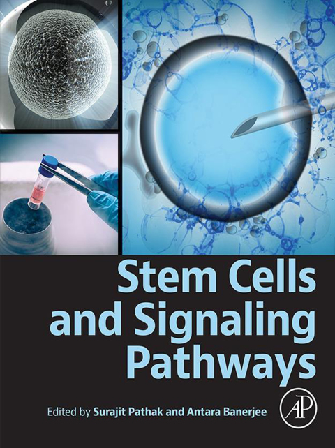 Cover image for book Stem Cells and Signaling Pathways