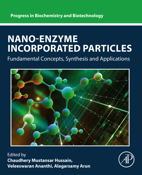 Nano-Enzyme Incorporated Particles 