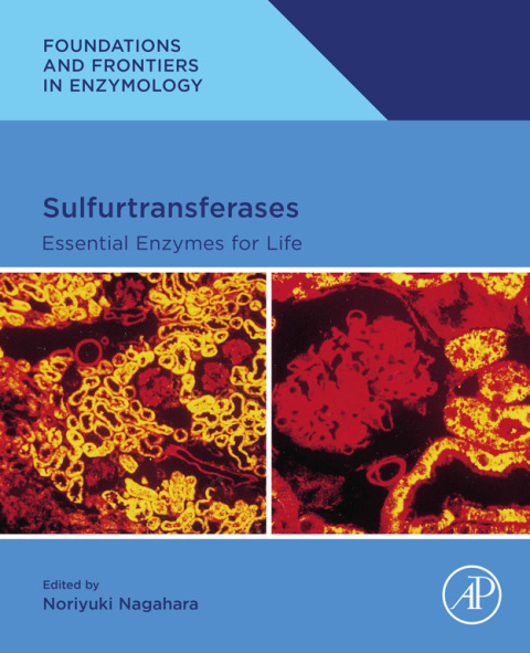 Cover image for book Sulfurtransferases