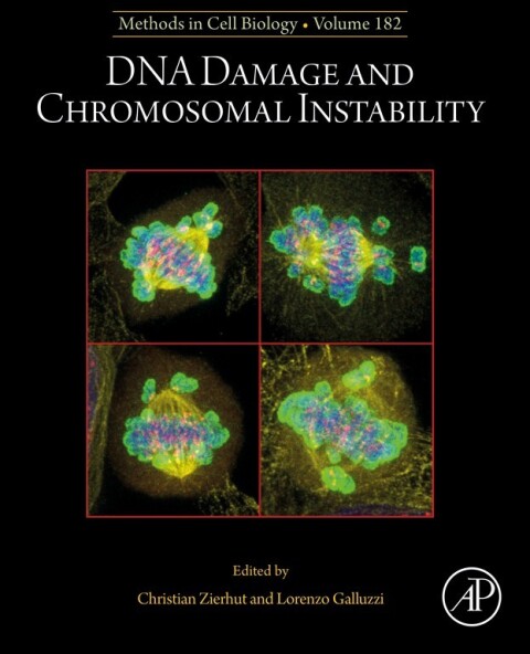 Cover image for book DNA Damage and Chromosomal Instability
