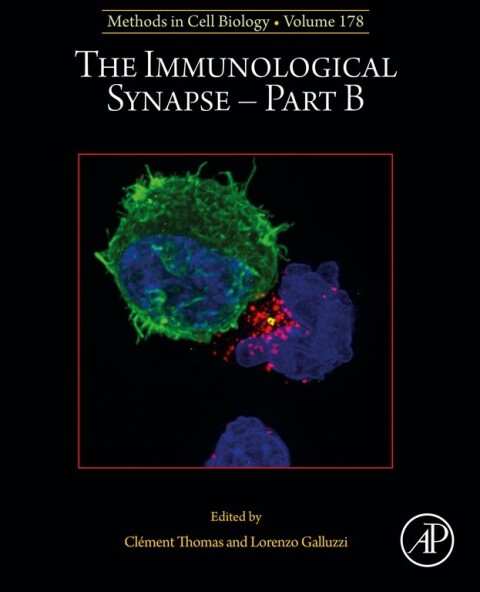 Cover image for book The Immunological Synapse - Part B