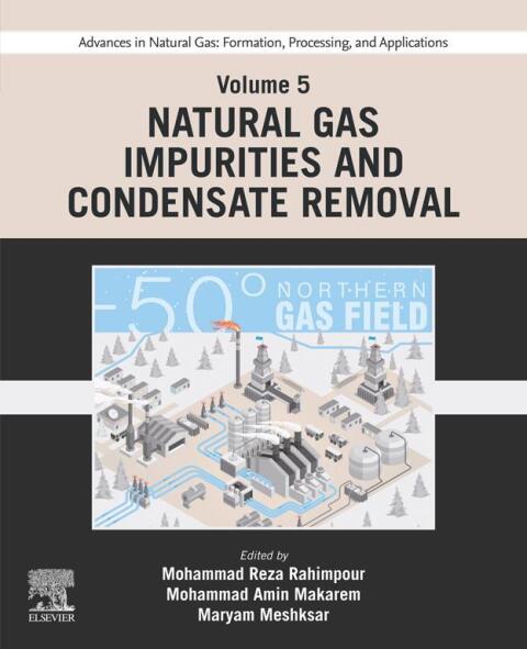 Cover image for book Advances in Natural Gas: Formation, Processing, and Applications. Volume 5: Natural Gas Impurities and Condensate Removal