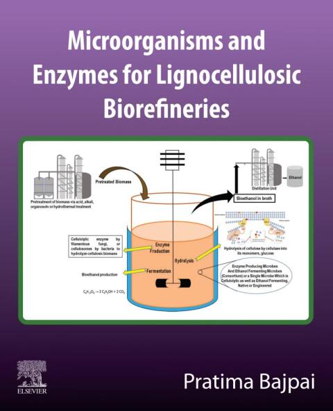 Cover image for book Microorganisms and enzymes for lignocellulosic biorefineries