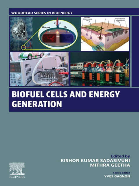 Cover image for book Biofuel Cells and Energy Generation