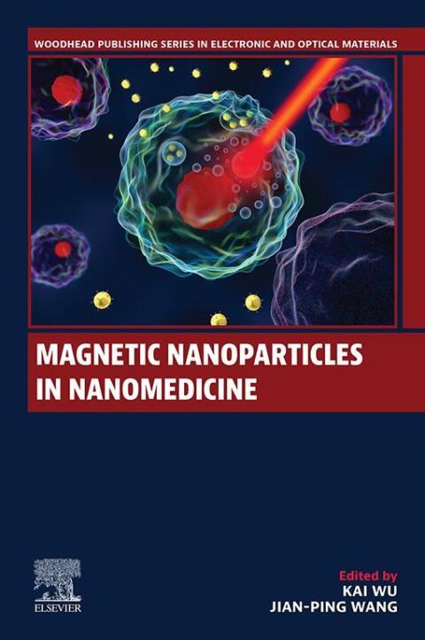 Magnetic Nanoparticles in Nanomedicine 