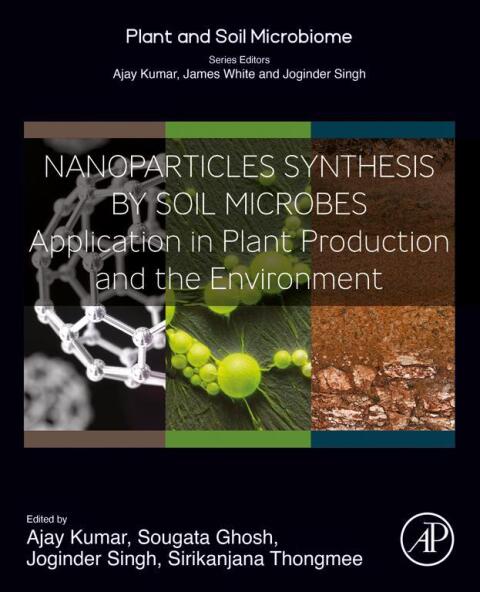 Nanoparticles Synthesis by Soil Microbes 