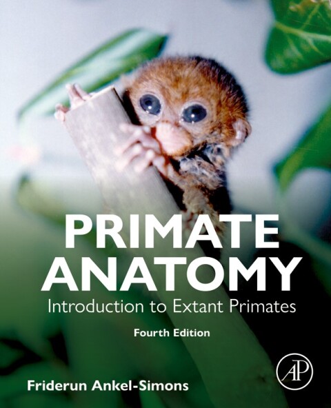 Cover image for book Primate Anatomy