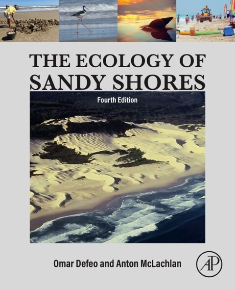Cover image for book The Ecology of Sandy Shores
