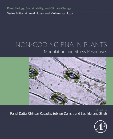 Cover image for book Non-coding RNA in Plants