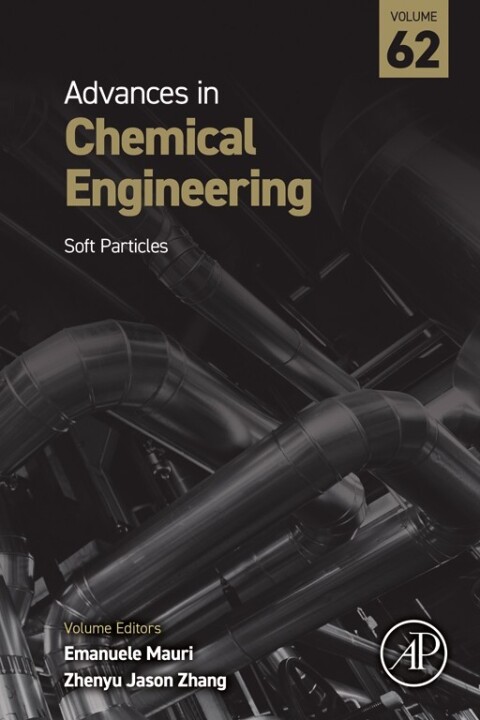 Cover image for book Soft Particles