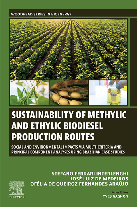 Cover image for book Sustainability of Methylic and Ethylic Biodiesel Production Routes
