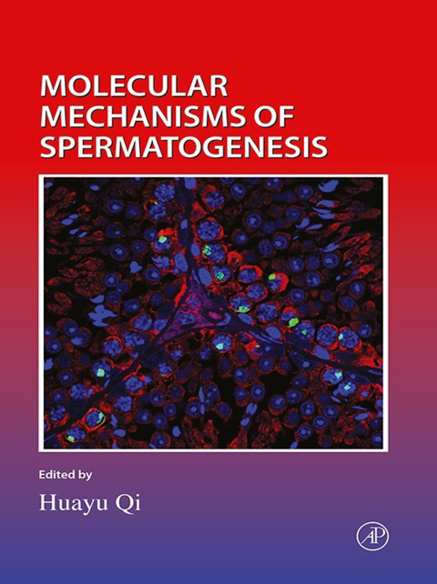 Cover image for book Molecular Mechanisms of Spermatogenesis