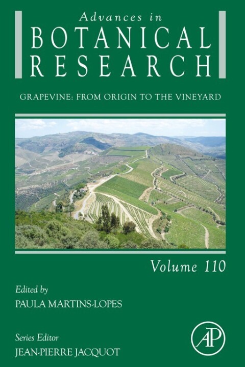 Cover image for book Grapevine